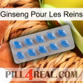 Ginseng For Kidney 22